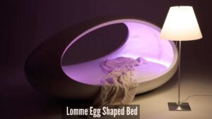 Lomme (Light Over Matter Mind Evolution) Egg Shaped Bed