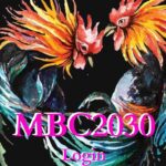 MBC2030 live - Latest Login Guide 2022