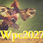 Wpc2027 Account Login & Dashboard - A Complete Guide