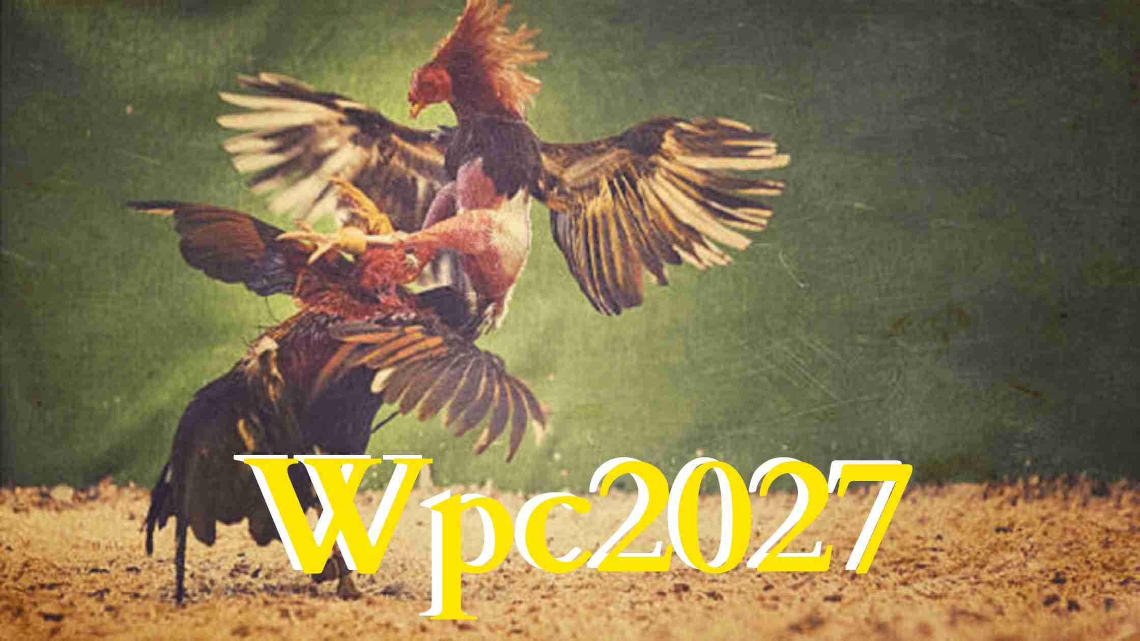 Wpc2027 Account Login & Dashboard - A Complete Guide