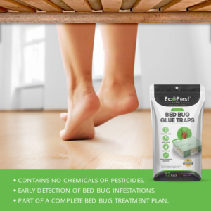 bed-bug-glue-traps-EcoPest